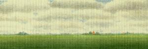 Fries landschap